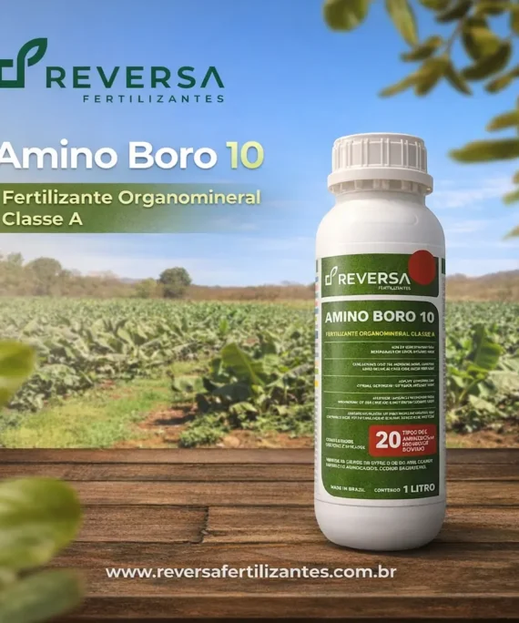 AMINO BORO 10